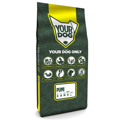 Yourdog Pumi Senior