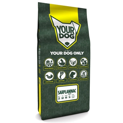 Yourdog Sarplaninac Senior