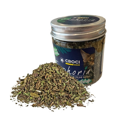 Croci Euphoria Catnip Pot 25gr, transparante pot met gedroogd kattenkruid