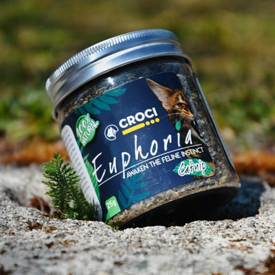 Croci Euphoria Catnip Pot 25gr, transparante pot met gedroogd kattenkruid