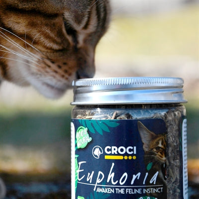 Croci Euphoria Catnip Pot 25gr, transparante pot met gedroogd kattenkruid