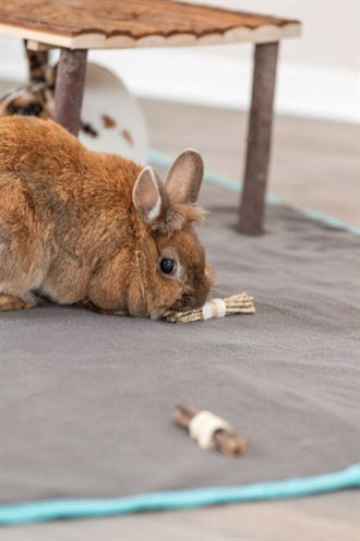 Trixie Set Sticks knaagspeelgoed voor konijnen en knaagdieren, gemaakt van luffa, schorshout en zeegras.as