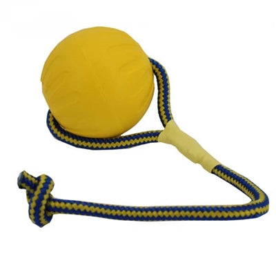 Starmark Swing 'N Fling Durafoam Fetch Bal Aan Koord